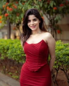 Kolkata Escort Services